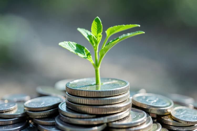 Uma planta crescendo através de uma pilha de moedas, simbolizando cura e finanças.